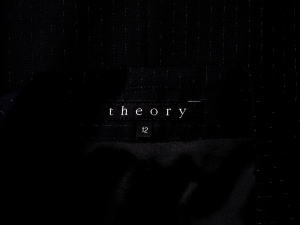 Theory , , Theyskens