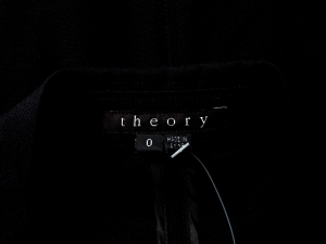 Theory , , Theyskens