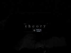 Theory , , Theyskens